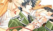 耽美动漫百日蔷薇,耽美世界中的青春与救赎